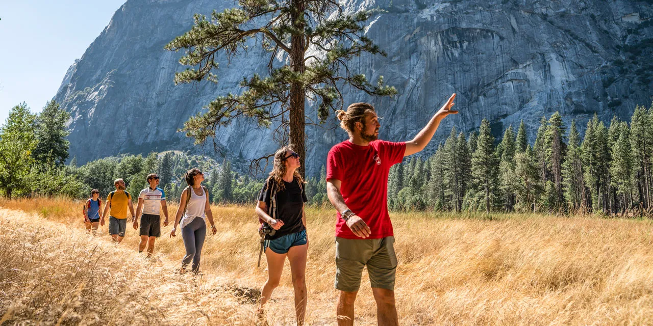 Regenerative Travel Experiences: Redefining the Future of Sustainable Tourism